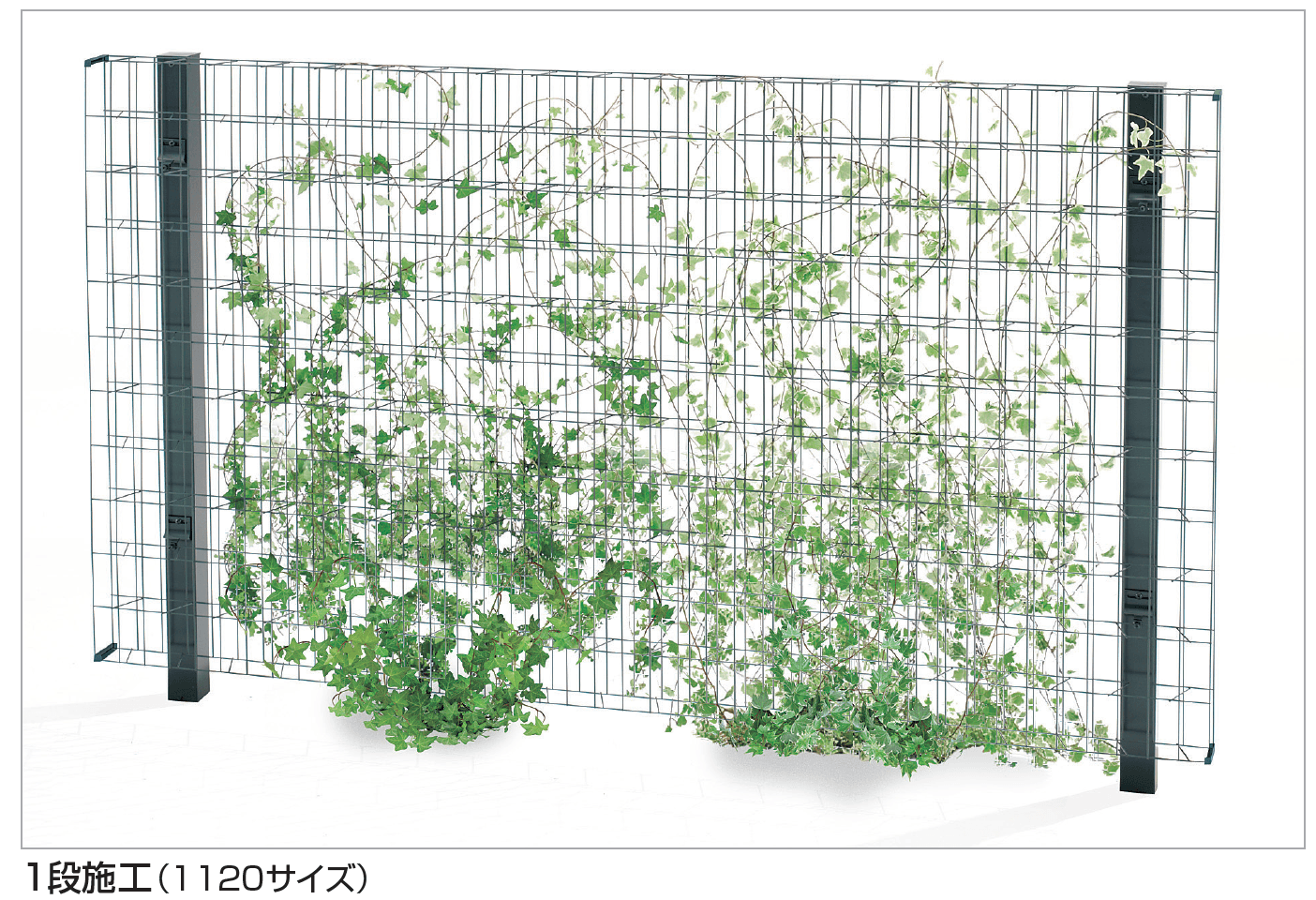四国化成の「グリーンシェード フェンスタイプ」