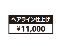 JポストシリーズHS1型 【2022年版】_価格_1