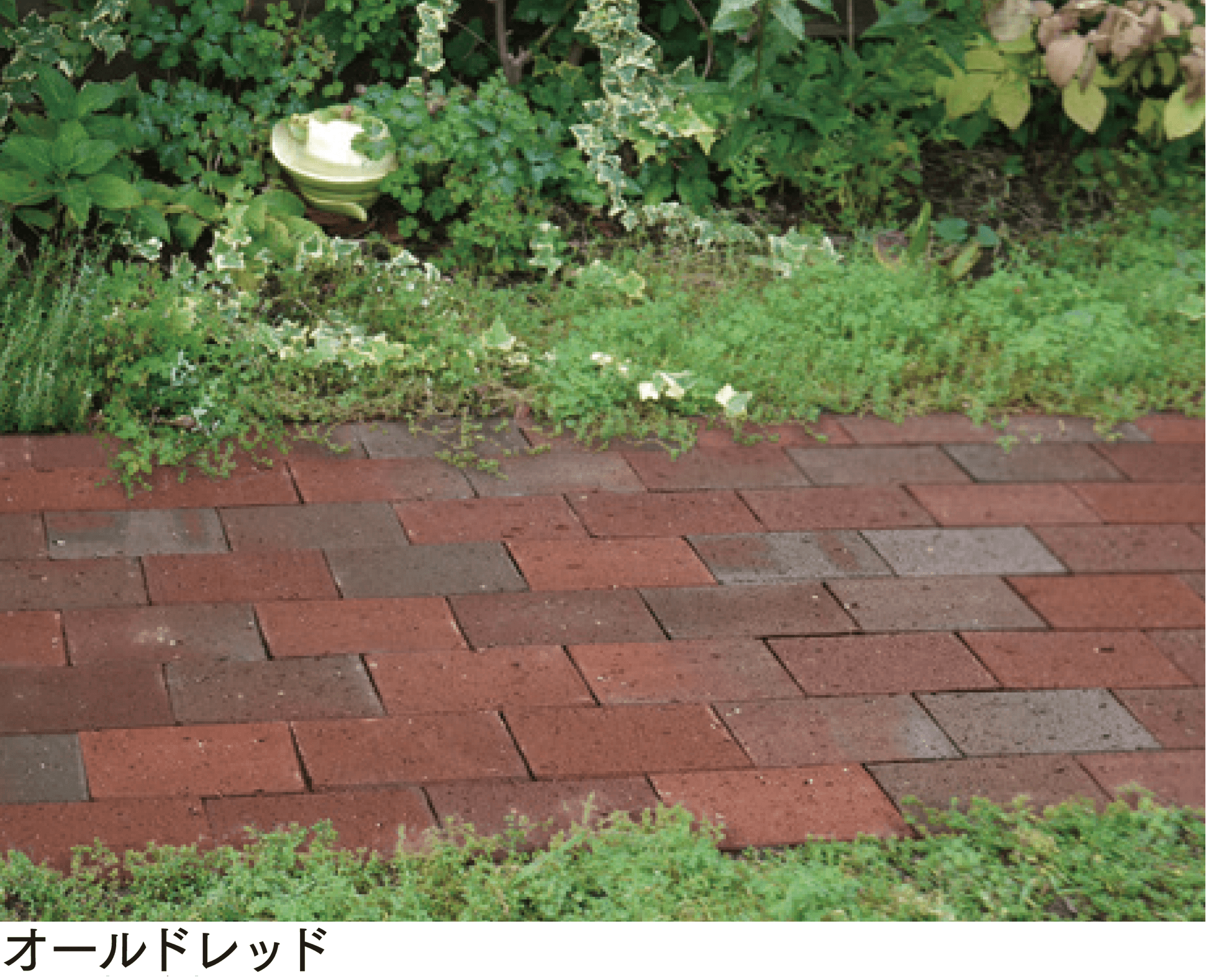 マチダコーポレーションの「ビクトリアペイブ」のサブ画像2
