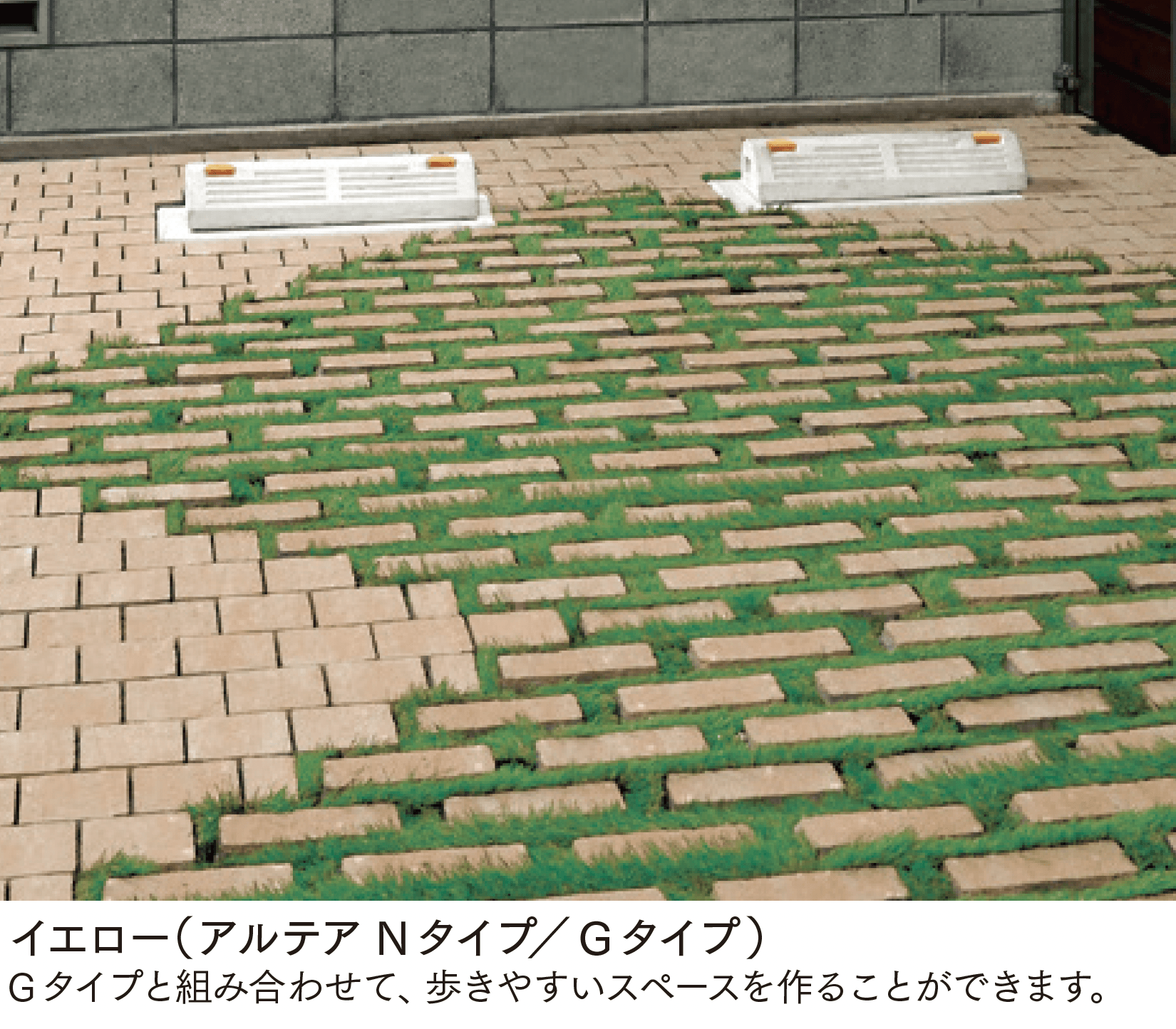 マチダコーポレーションの「アルテア Nタイプ」のサブ画像1