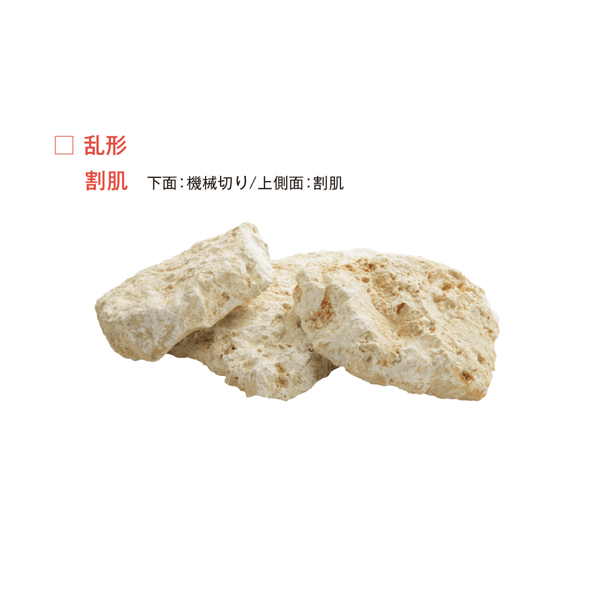 メイクランドの「琉球石灰岩(石灰岩・沖縄県)」のサブ画像6