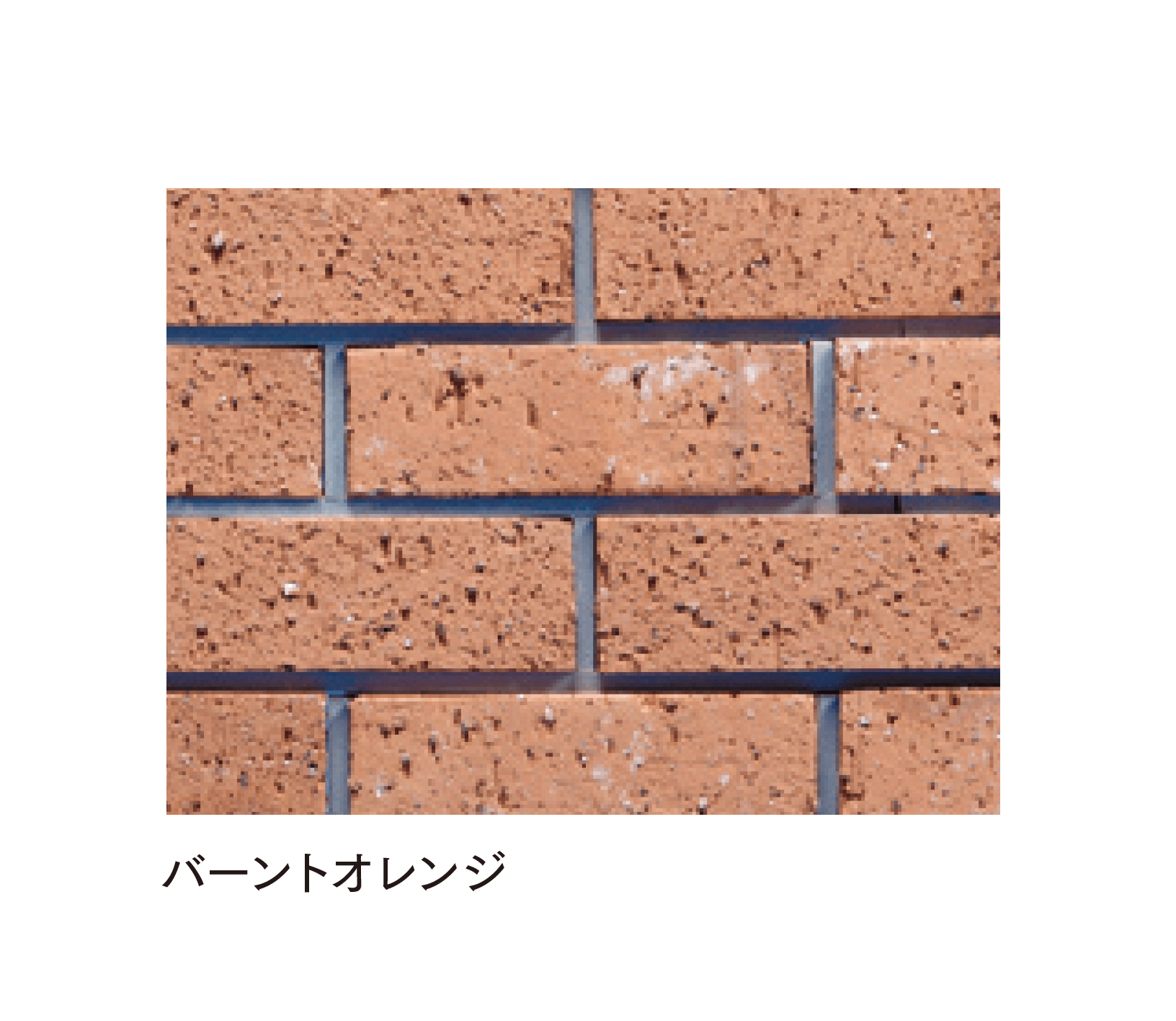 マチダコーポレーションの「ビクトリアブリック」のサブ画像5