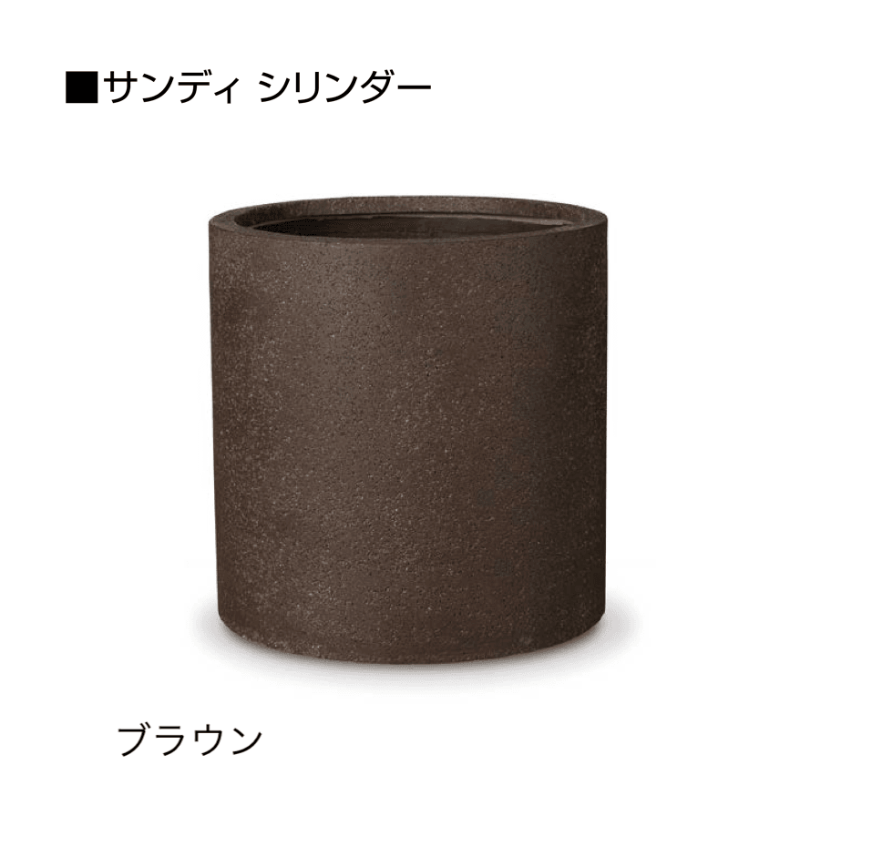 オンリーワンクラブの「サンディ」のサブ画像20