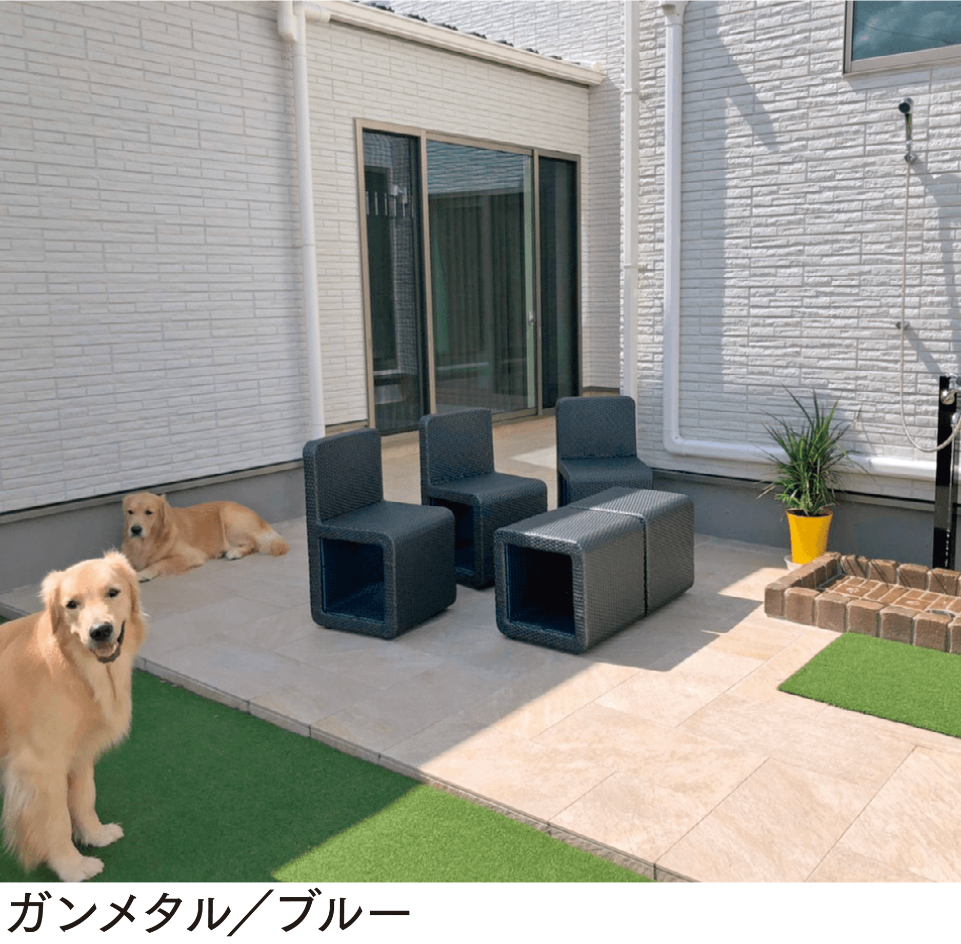 マチダコーポレーションの「ココ」