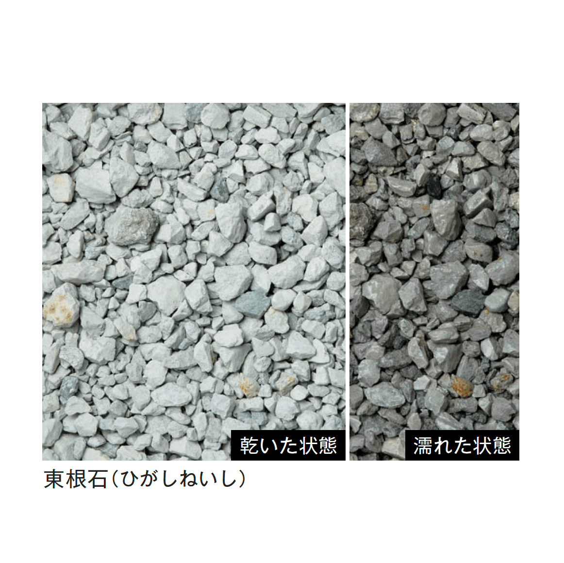メイクランドの「トンパック」のサブ画像12