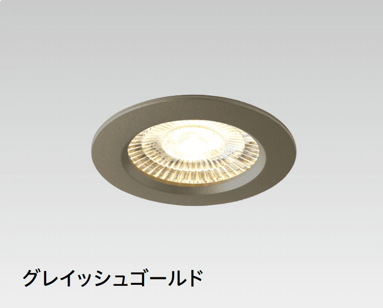 タカショーの「薄型タイプ ダウンライト」