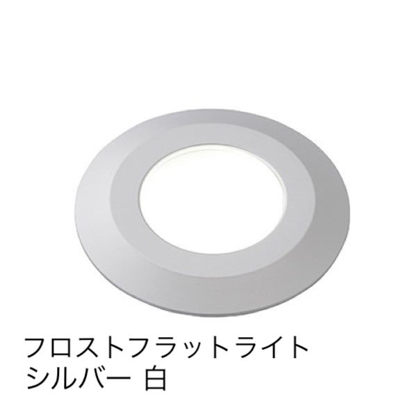 タカショーの「フラットライト フロストタイプ 地中埋込用」