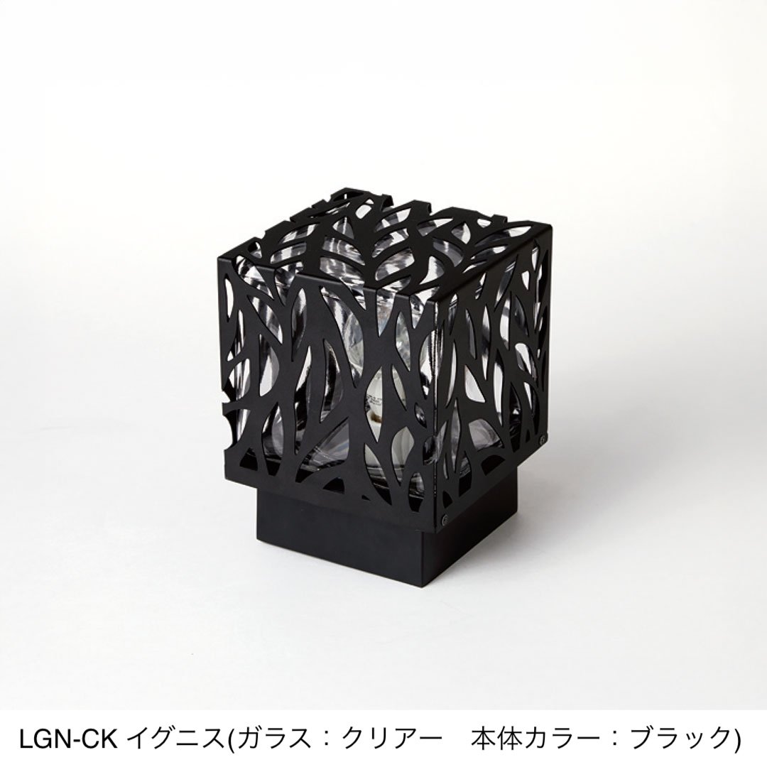 福彫の「イグニス」のサブ画像3