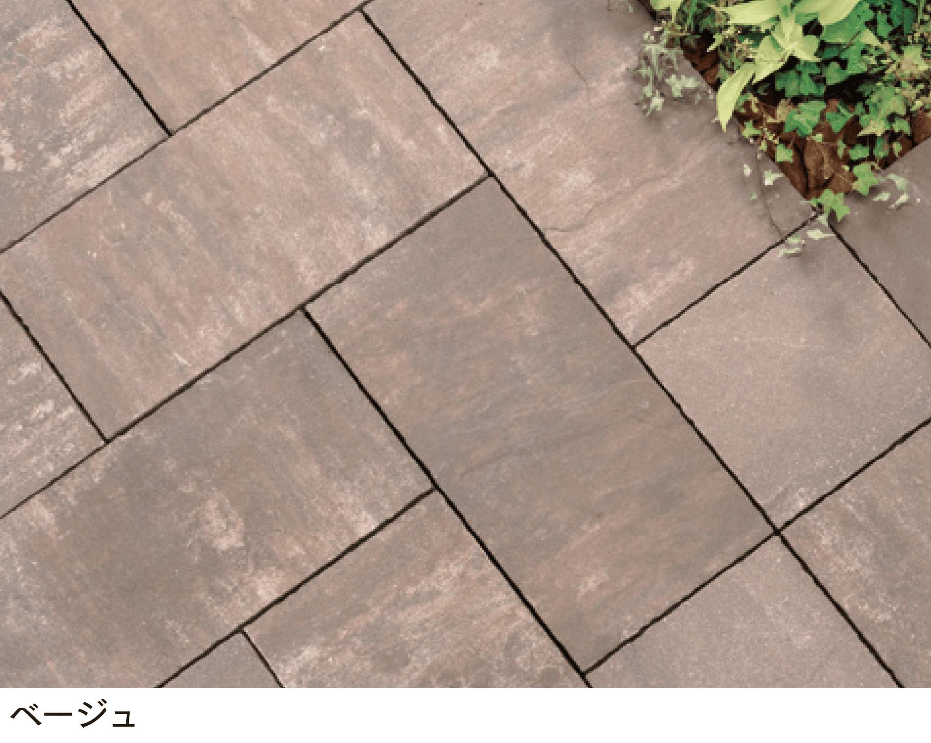 マチダコーポレーションの「アルテア Wタイプ」のサブ画像1