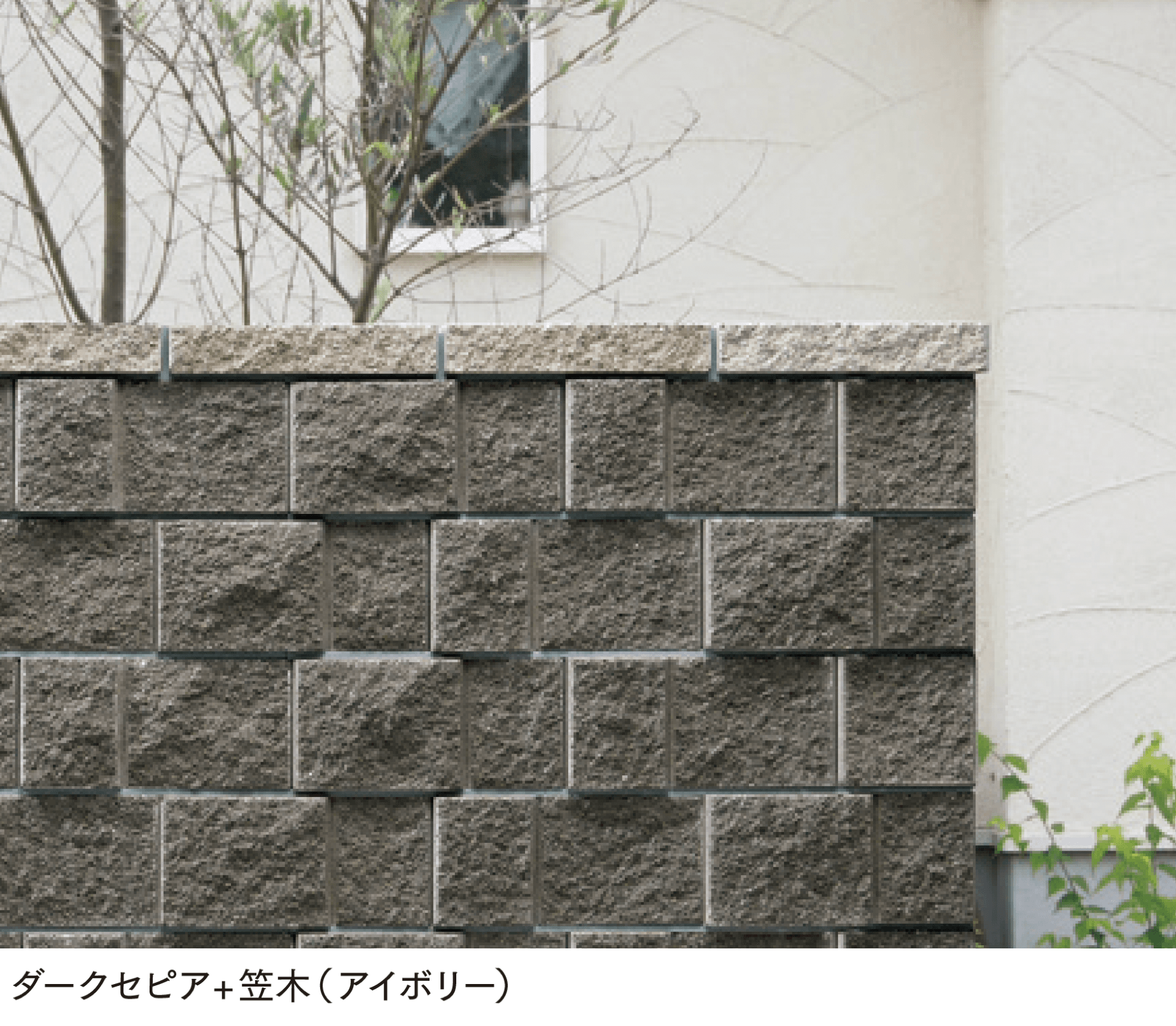 マチダコーポレーションの「ワイルド」のサブ画像2