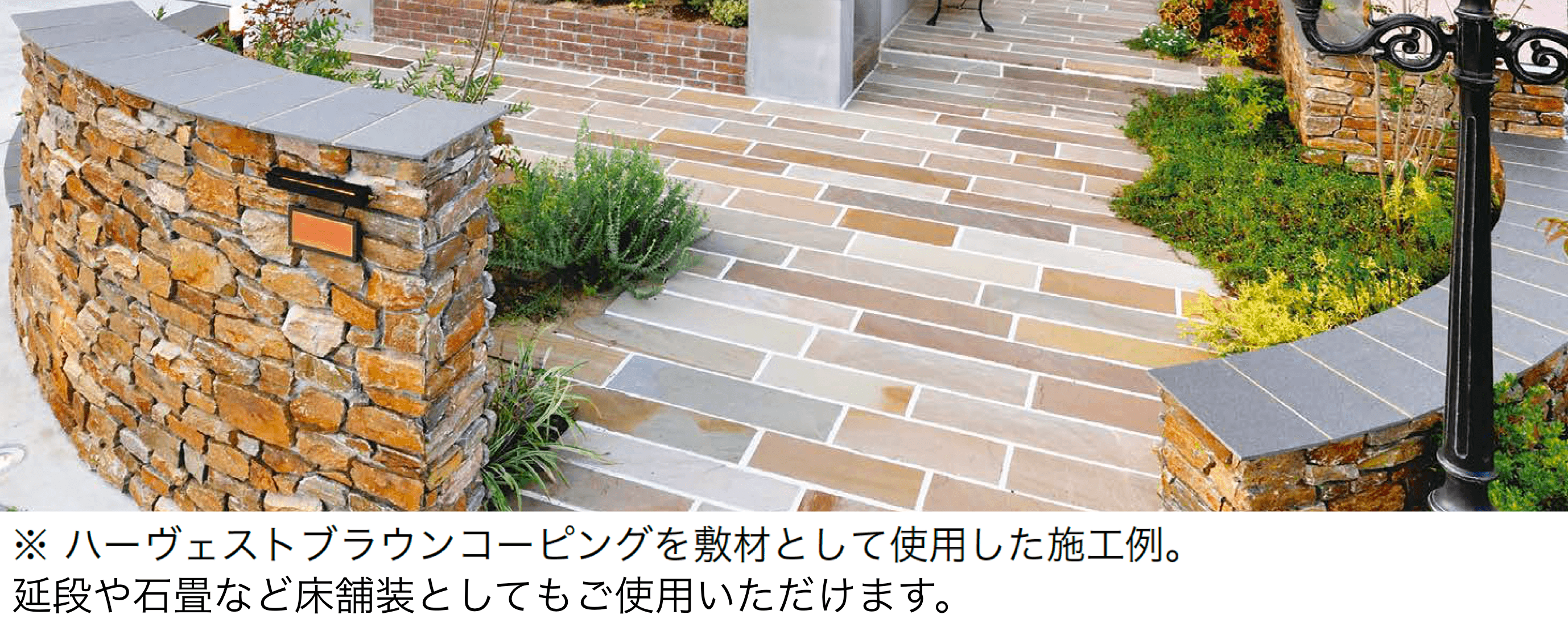 オンリーワンクラブの「ハーヴェストブラウン」のサブ画像5