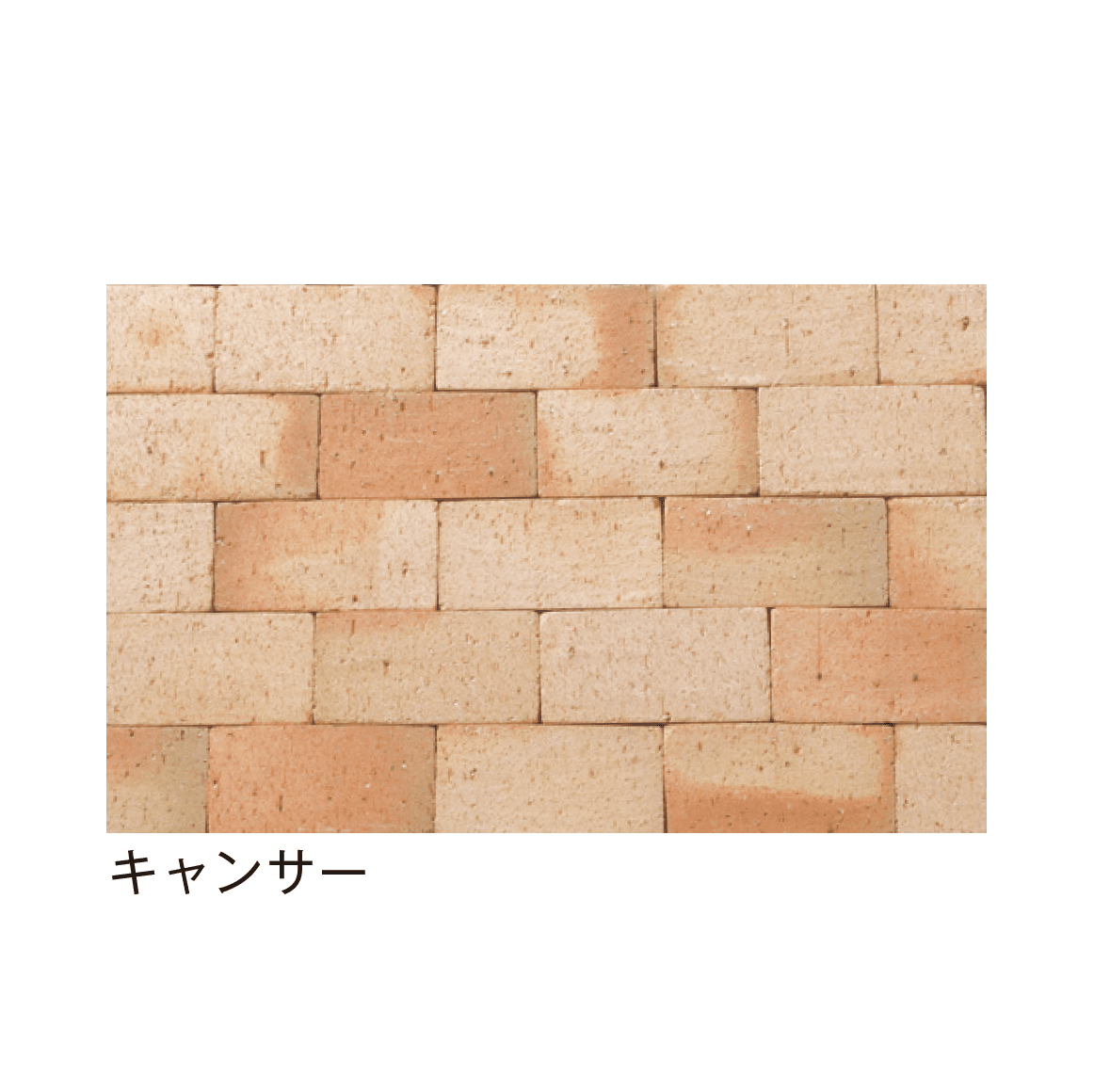 メイクランドの「べイブ」のサブ画像7