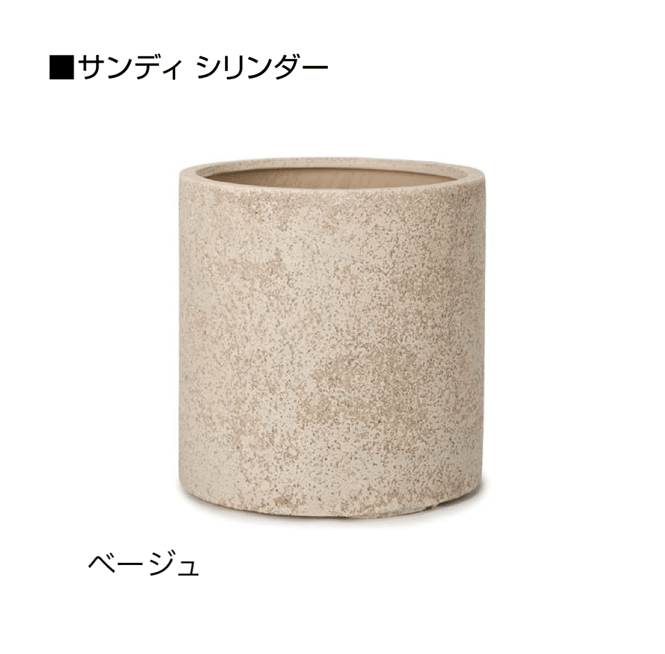 オンリーワンクラブの「サンディ」のサブ画像19