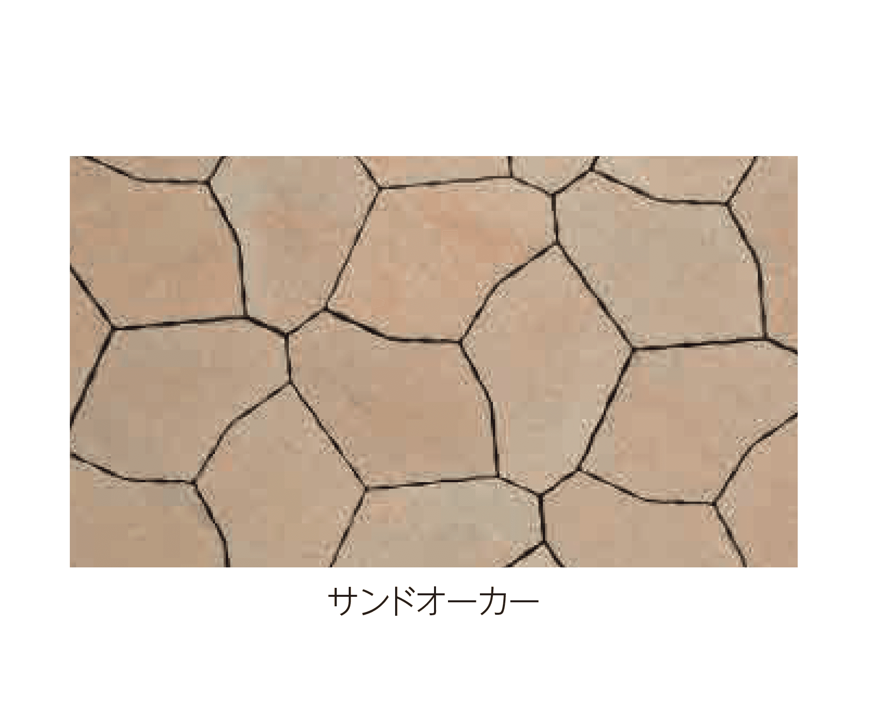 エスビックの「ランカ【2026年5月21日発売予定】」のサブ画像8