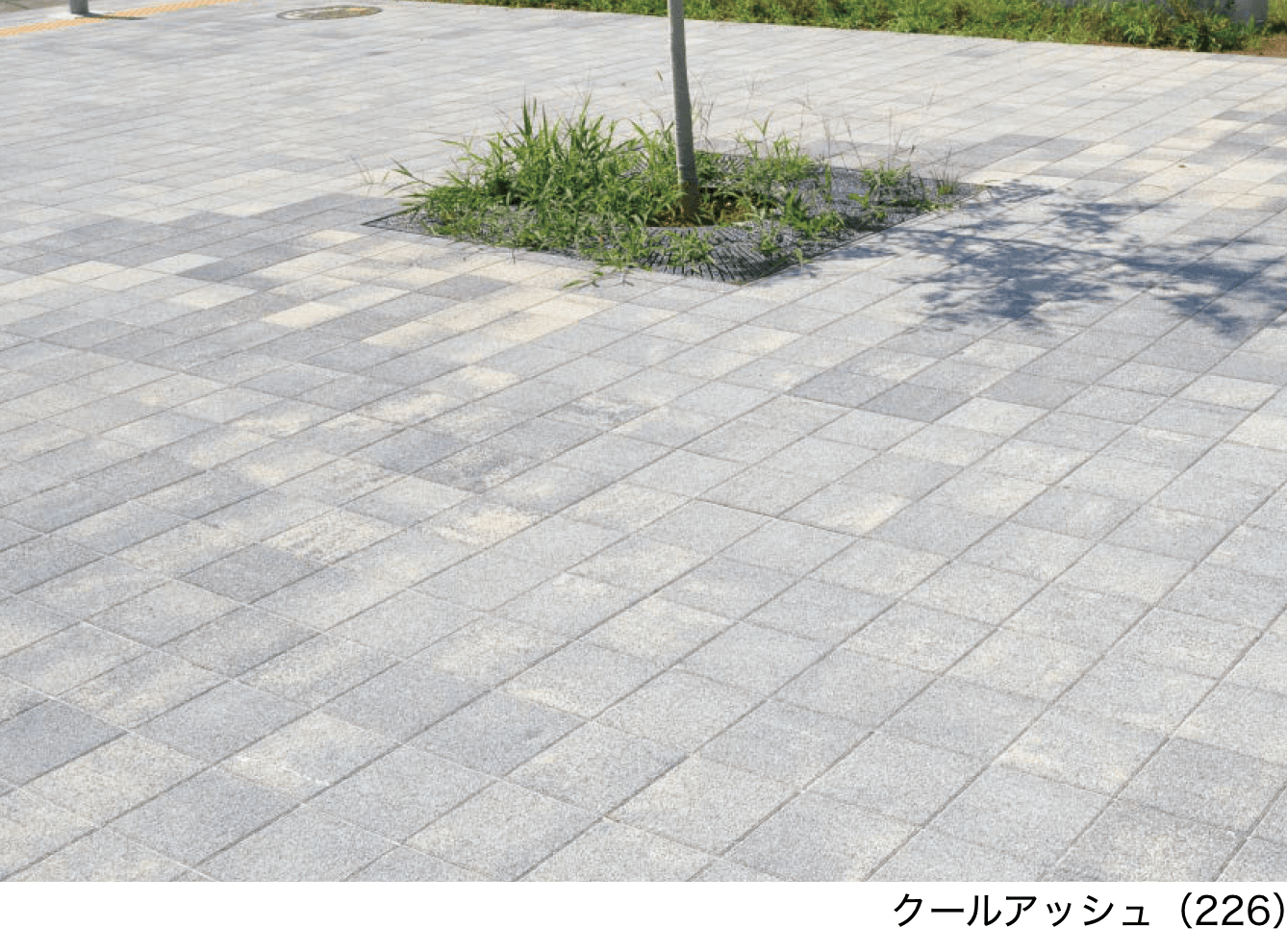 エスビックの「シャビー」のサブ画像1