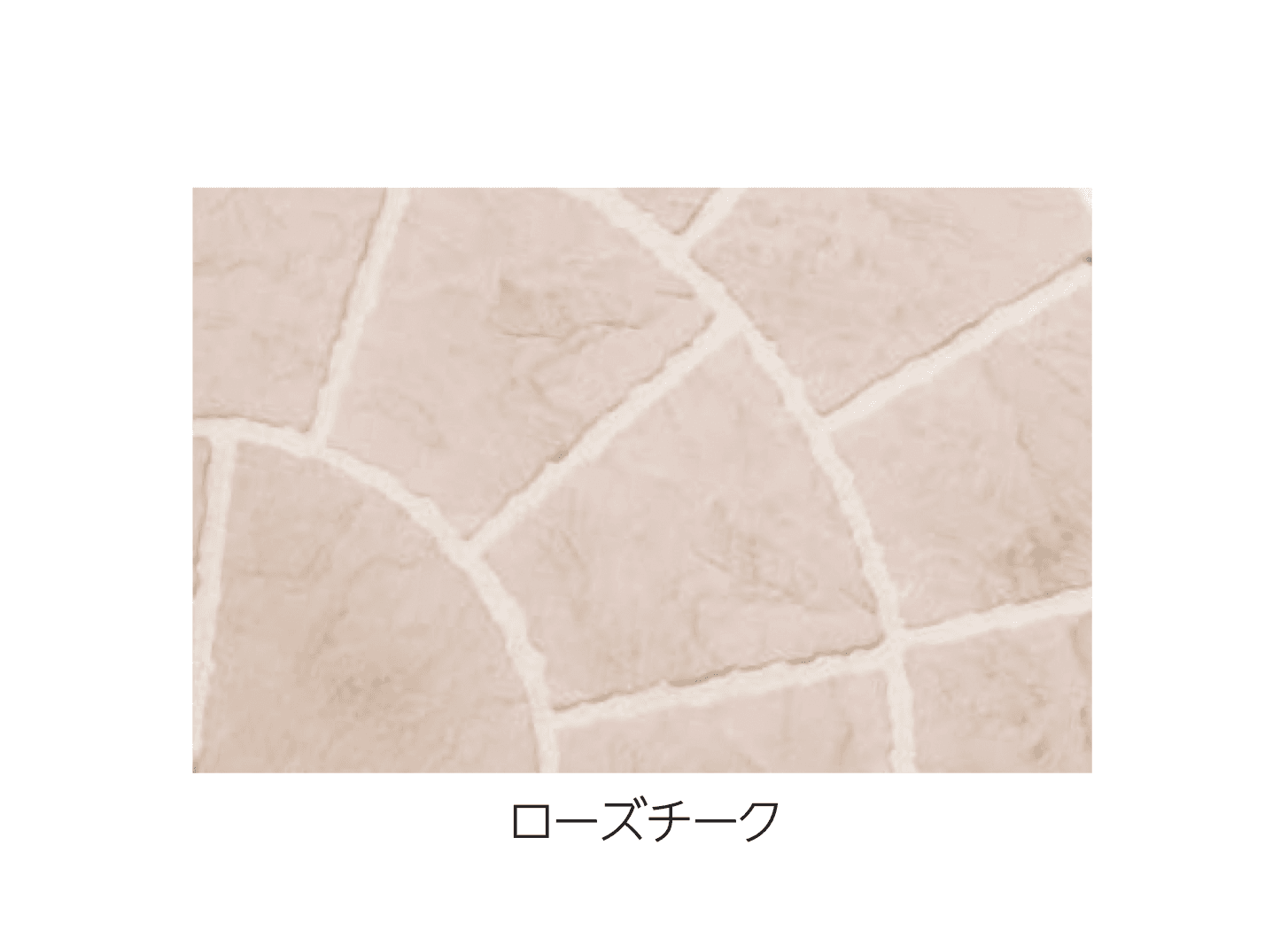 エスビックの「アクシア・サークル」のサブ画像5