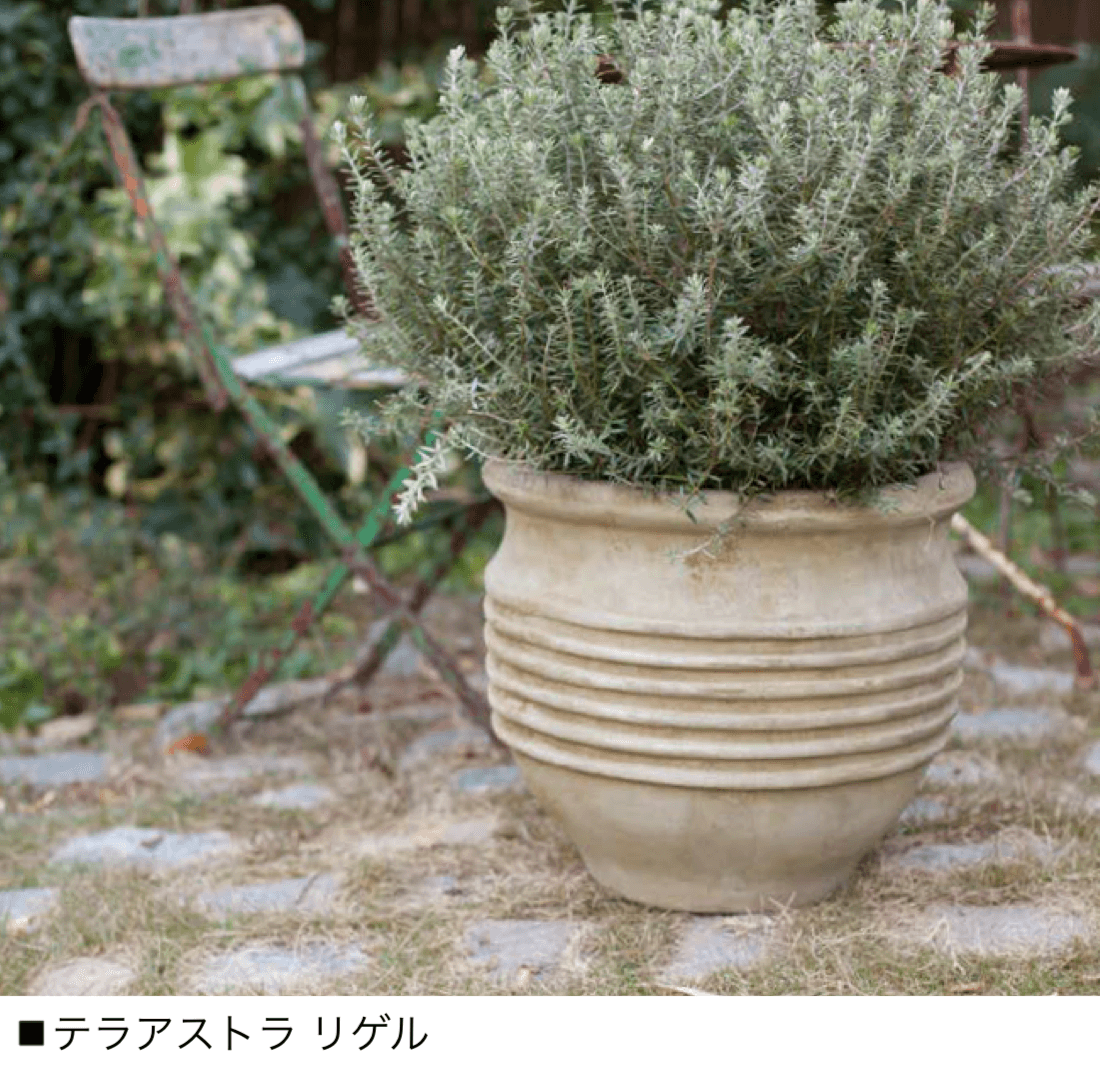 オンリーワンクラブの「テラアストラ」のサブ画像2