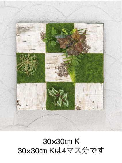 タカショーの「壁面アレンジ【2024年版】」のサブ画像21