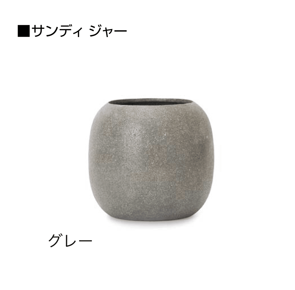 オンリーワンクラブの「サンディ」のサブ画像13