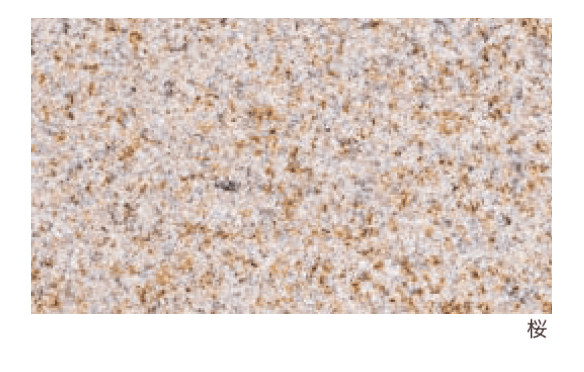 エスビックの「グラニットキャップ【2024年版】」のサブ画像2