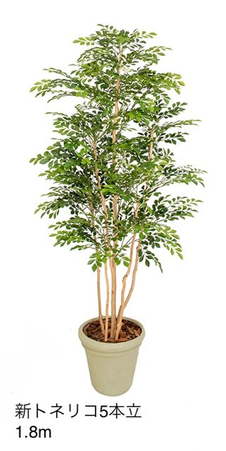 タカショーの「大型人工樹【2024年版】」のサブ画像8