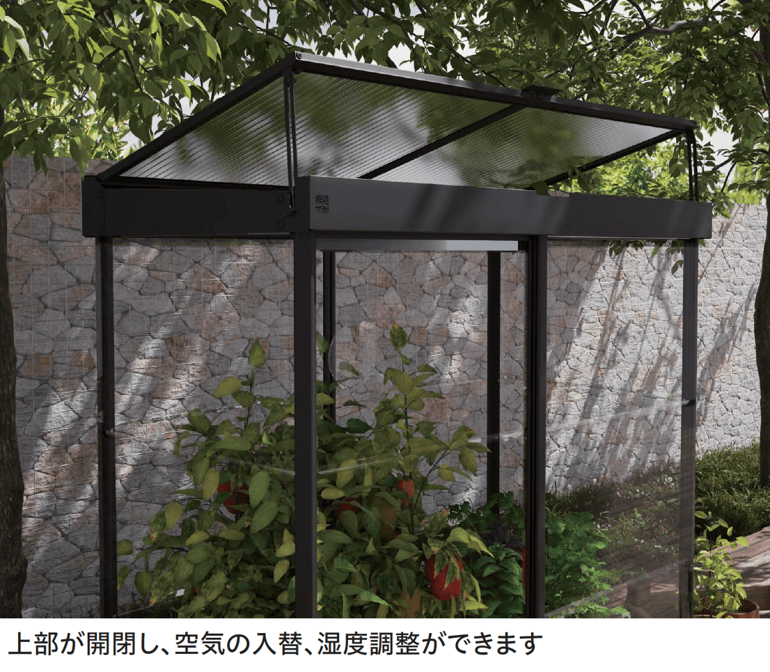 ギャザーの「キャノビア アイビー【2024年版】」のサブ画像1