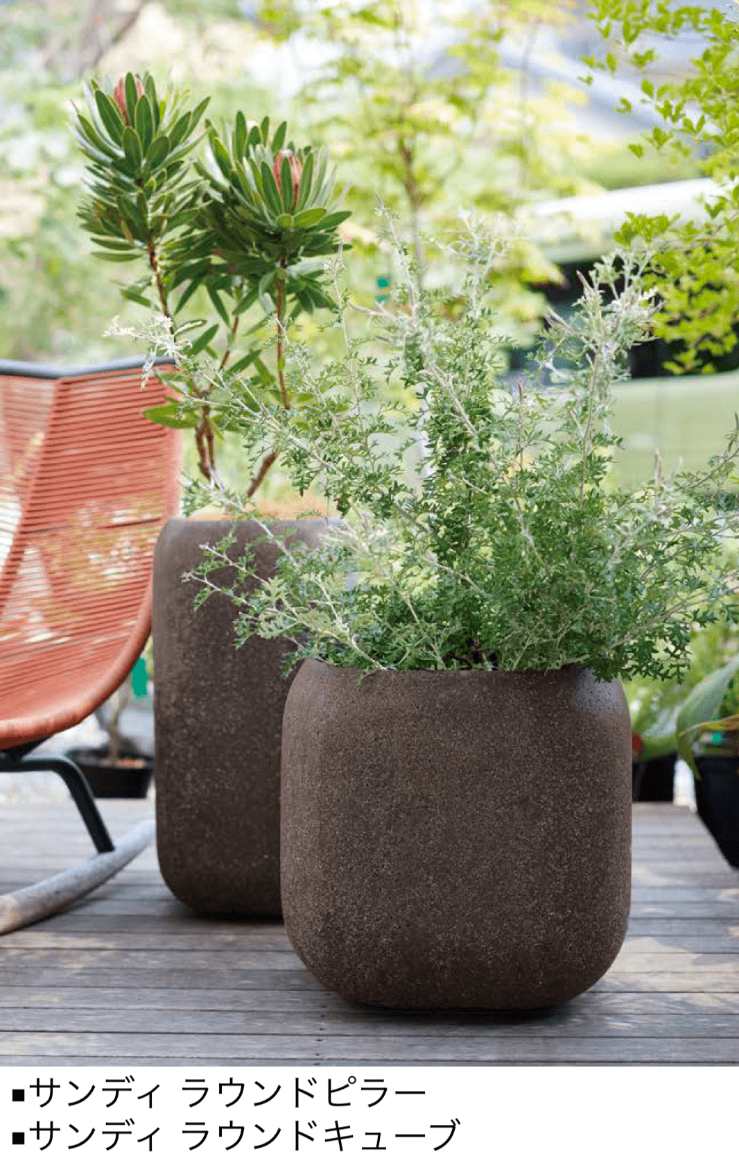 オンリーワンクラブの「サンディ」のサブ画像1