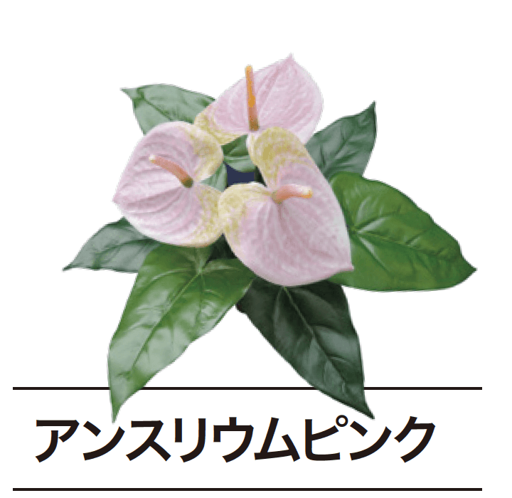 ゆとりの「ぴたっとグリーン【2024年版】」のサブ画像14