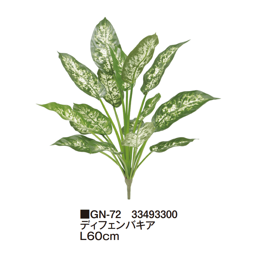 タカショーの「グランドカバー 下草【2025年版】」のサブ画像16