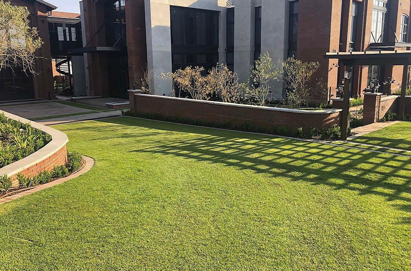 オンリーワンクラブの「グラスフィックス エコ+」