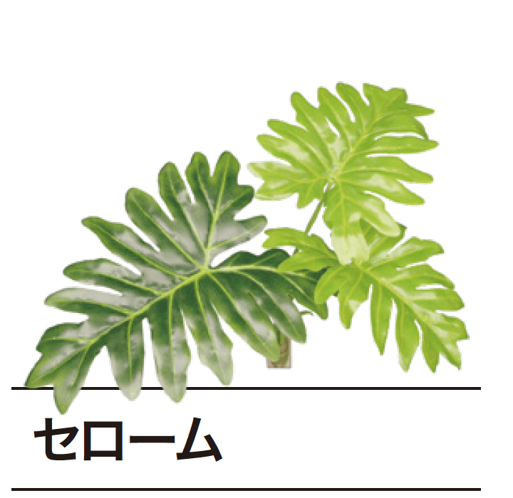 ゆとりの「ぴたっとグリーン【2024年版】」のサブ画像13