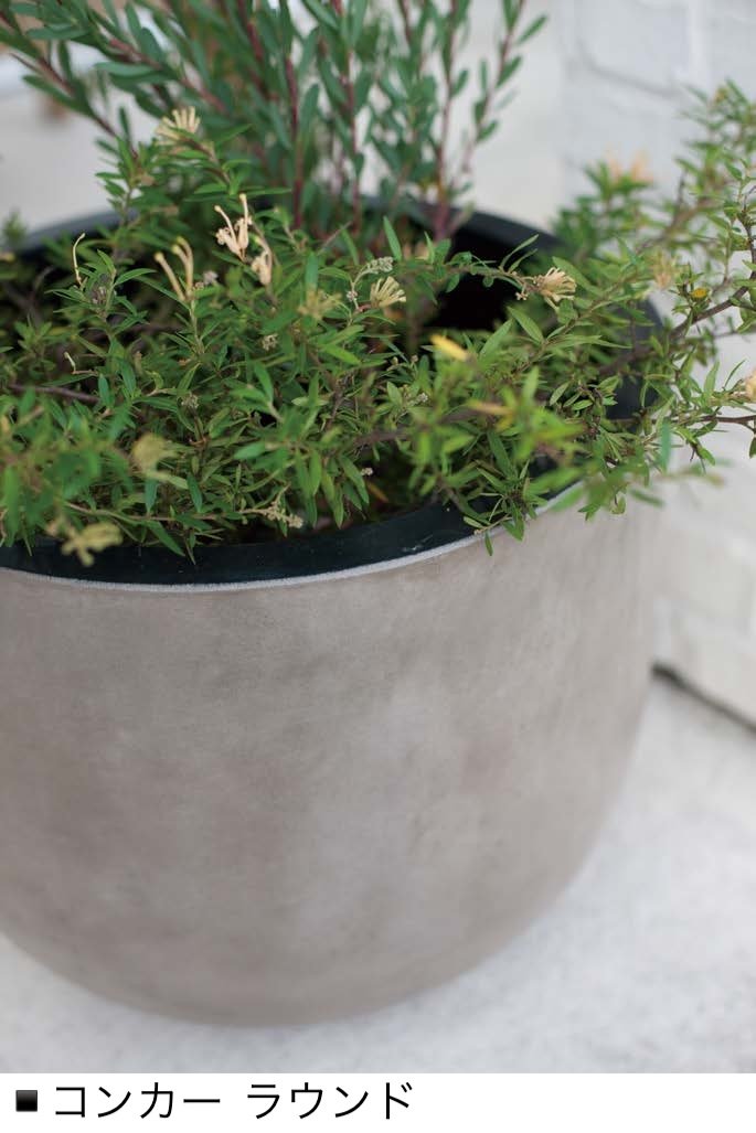 オンリーワンクラブの「コンカー」のサブ画像1