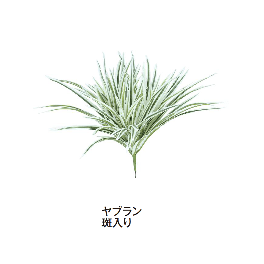 タカショーの「グランドカバー 下草」のサブ画像12