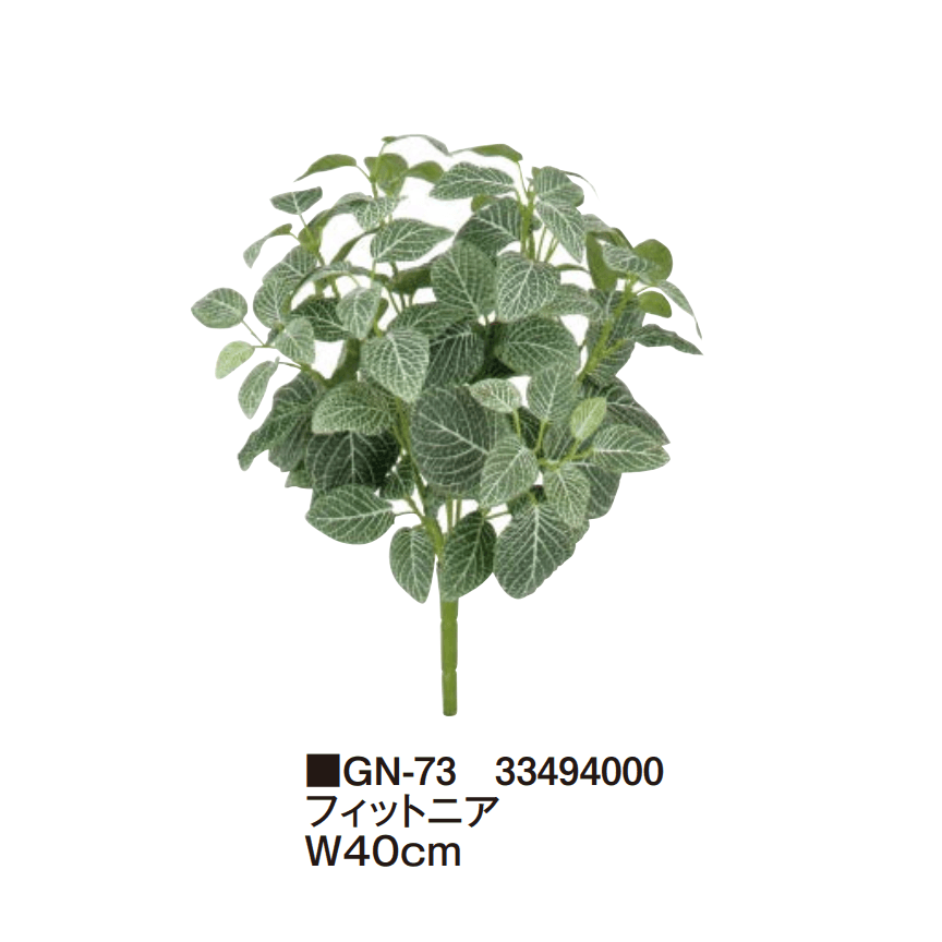 タカショーの「グランドカバー 下草【2025年版】」のサブ画像19