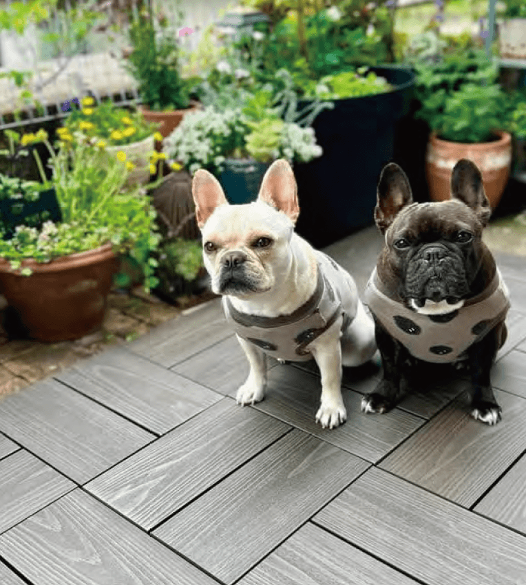 MINOの「彩木スナップデッキ SD」のサブ画像1