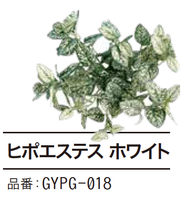 ゆとりの「ぴたっとグリーン【2023年版】」のサブ画像17