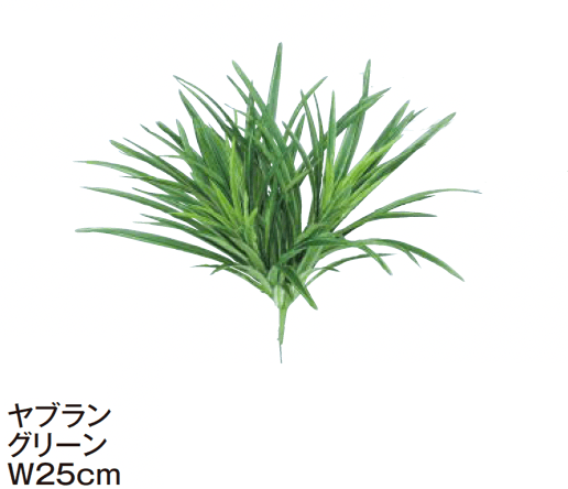 タカショーの「グランドカバー 下草【2024年版】」のサブ画像11