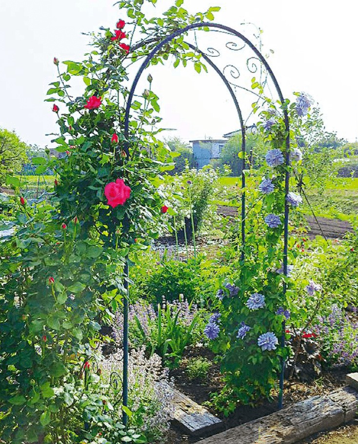 オンリーワンクラブの「ガーデンアーチ」のサブ画像1