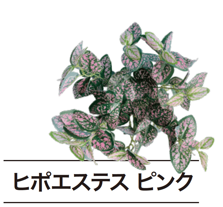 ゆとりの「ぴたっとグリーン【2024年版】」のサブ画像19