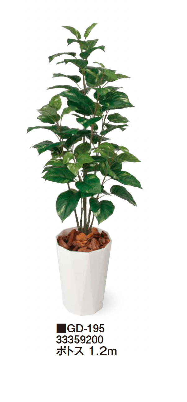 タカショーの「観葉植物【2024年版】」のサブ画像16