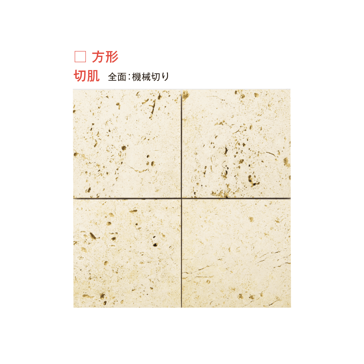 メイクランドの「琉球石灰岩(石灰岩・沖縄県)」のサブ画像9