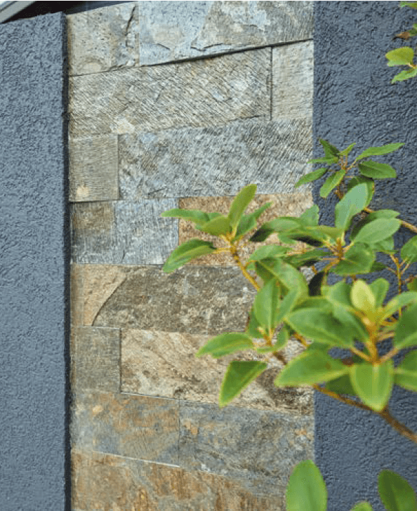 オンリーワンクラブの「ティエラ【2023年版】」のサブ画像1