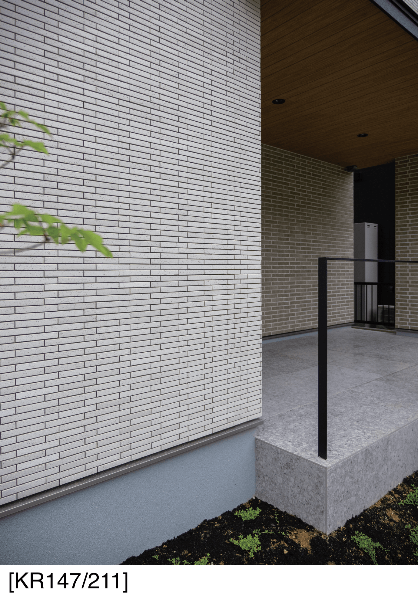 アイコットリョーワの「ケール【2025年版】」