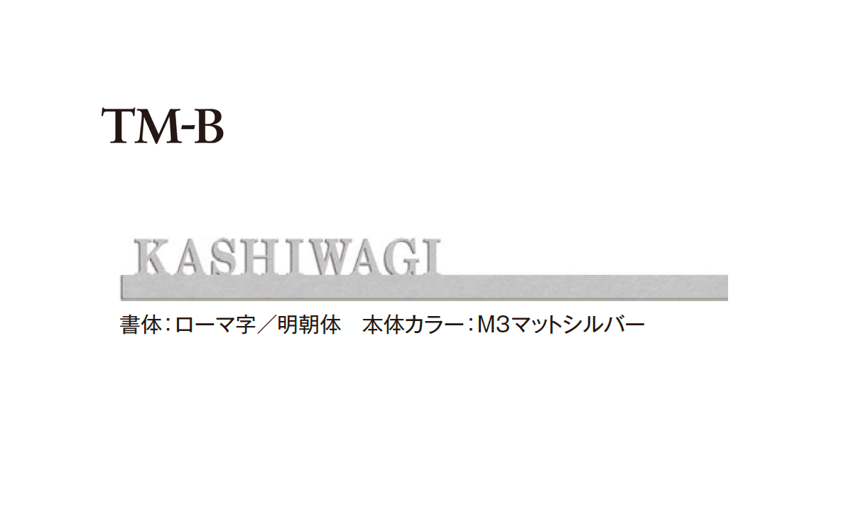 エクシスランドの「TMシリーズ サイン」のサブ画像2