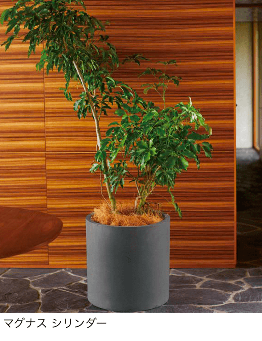 オンリーワンクラブの「マグナス」のサブ画像8