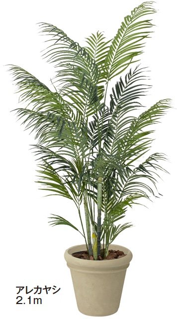 タカショーの「大型人工樹【2024年版】」のサブ画像9