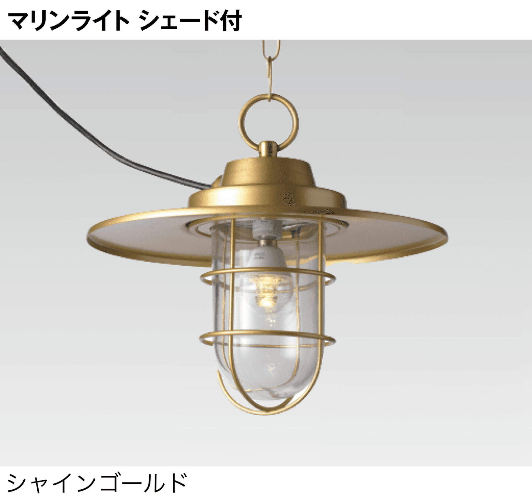 タカショーの「マリンライト ペンダントタイプ」のサブ画像1