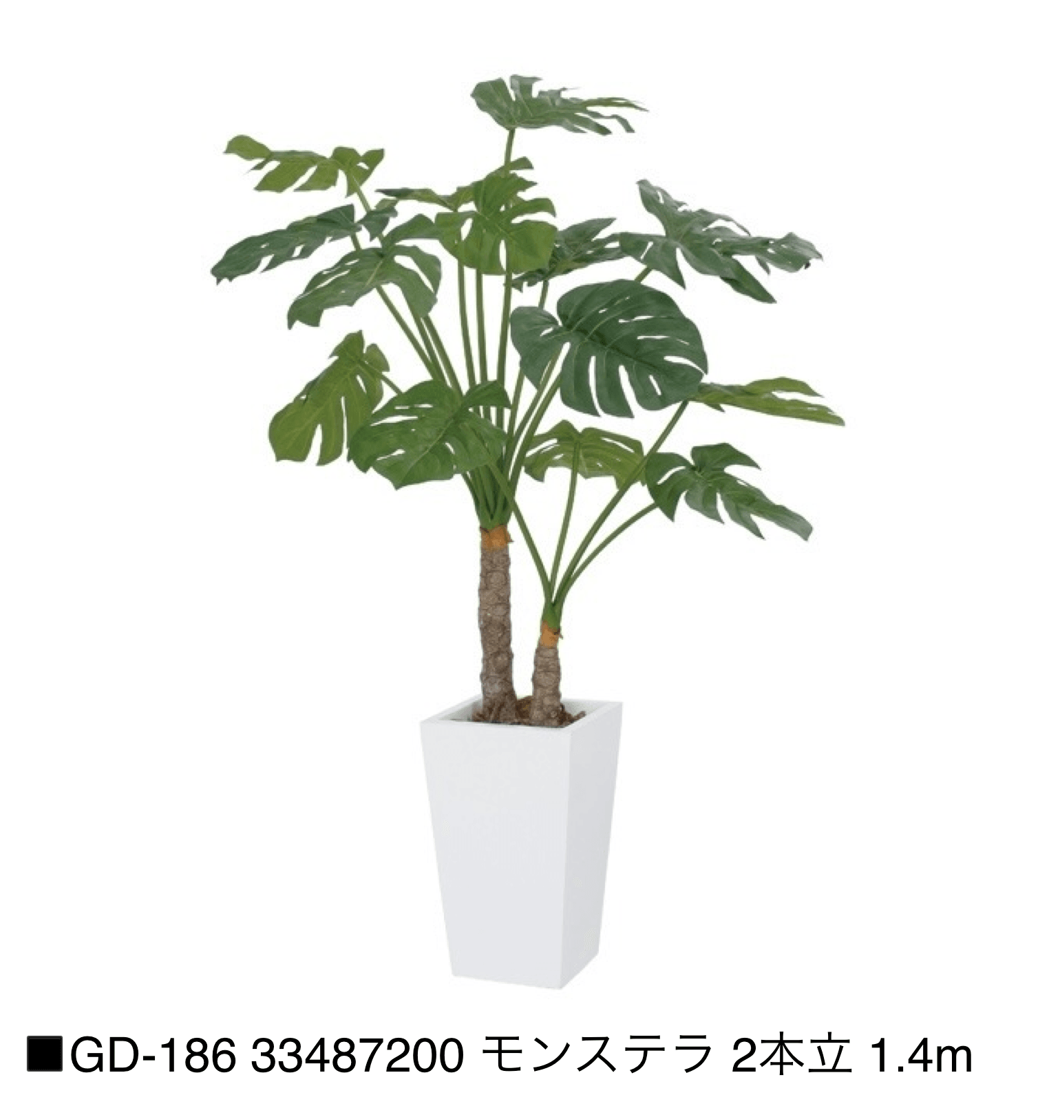 タカショーの「観葉植物【2025年版】」のサブ画像8