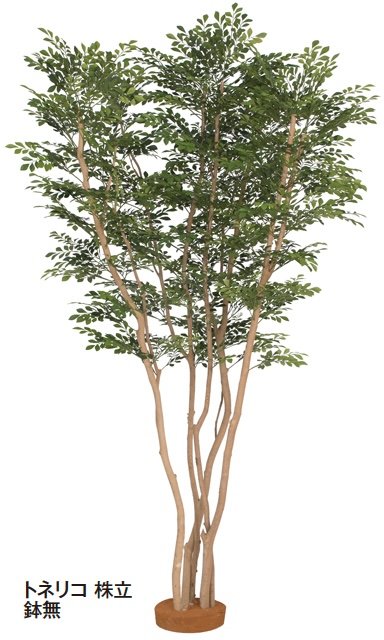 タカショーの「大型人工樹【2024年版】」のサブ画像2