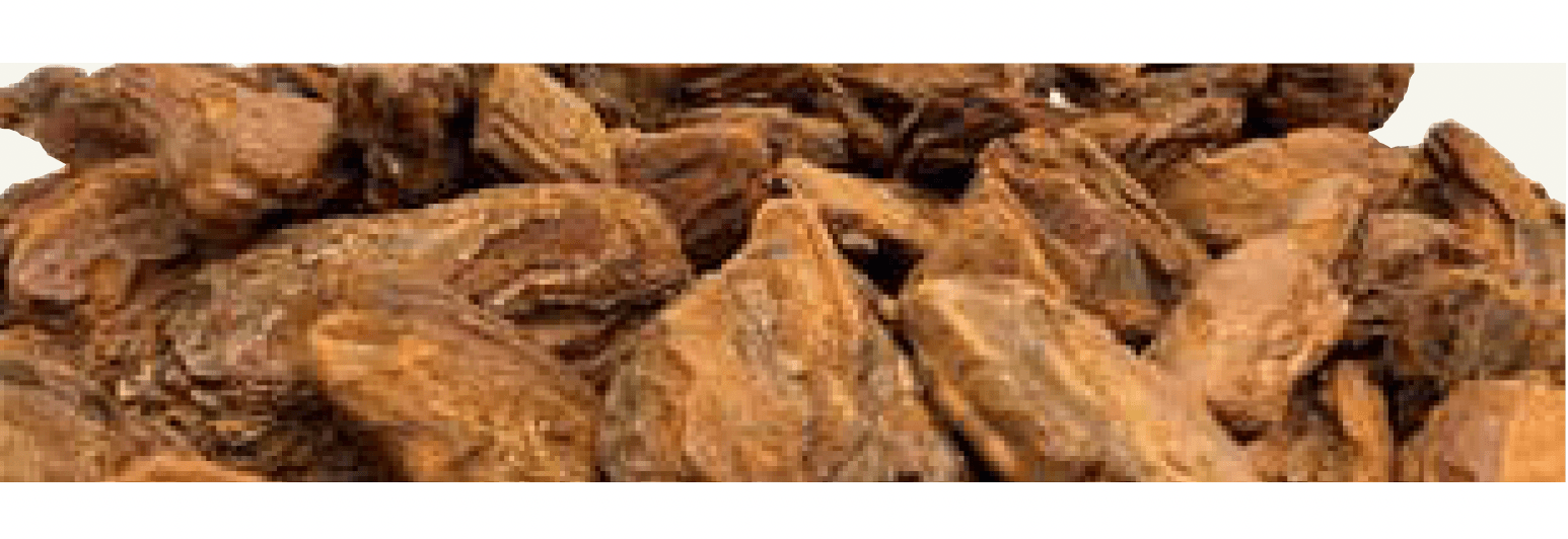 Bullsの「グランドカバーシリーズ <防犯対策> ガーデンバーク」